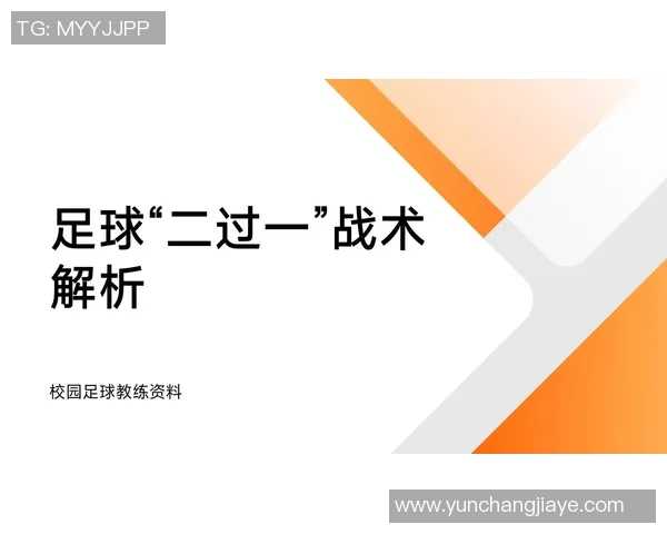 球星视角解析足球赛场技术与战术：从个人技巧到团队协作的深度剖析