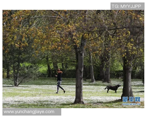 法国足球天才姆巴佩的国籍身份揭秘与职业生涯初期发展分析 法国足球天才姆巴佩的国籍身份揭秘与职业生涯初期发展分析