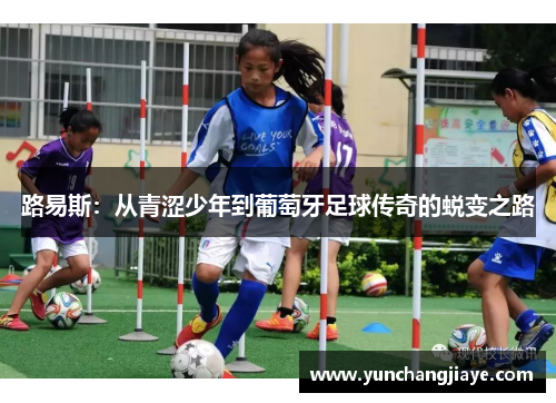 路易斯：从青涩少年到葡萄牙足球传奇的蜕变之路