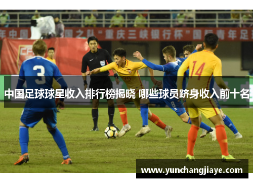 中国足球球星收入排行榜揭晓 哪些球员跻身收入前十名