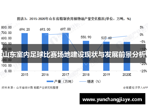 山东室内足球比赛场地建设现状与发展前景分析