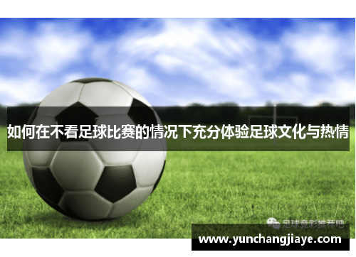 如何在不看足球比赛的情况下充分体验足球文化与热情